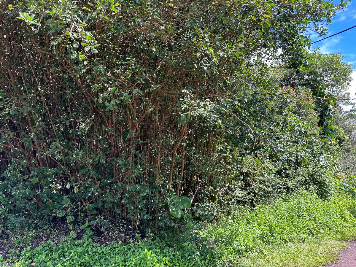 Kona St, Pahoa, HI 96778 - Image #1