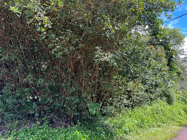 Kona St, Pahoa, HI 96778