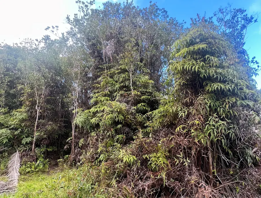 18-1280 Kauai St, Mountain View, HI 96771 - #3