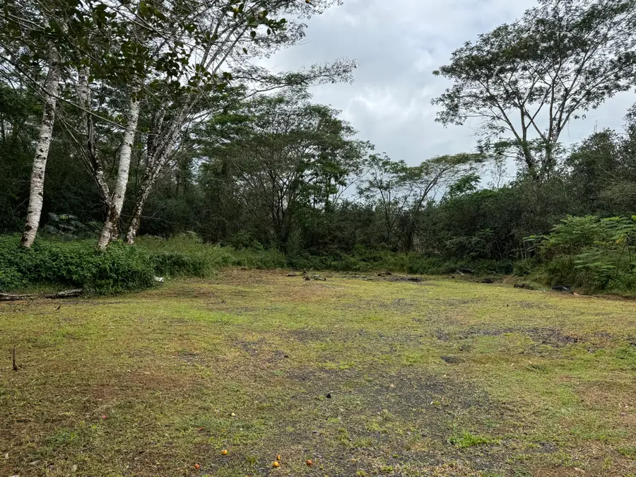 16-1122 Moho Rd, Keaau Mountain View, HI 96760 - Image #3