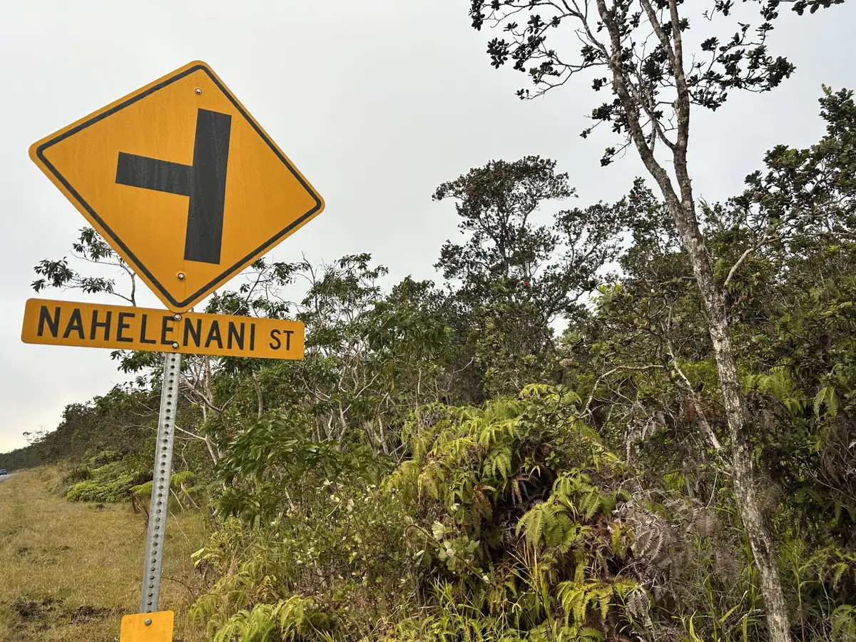 Nahelenani St, Volcano, HI 96785 - #1
