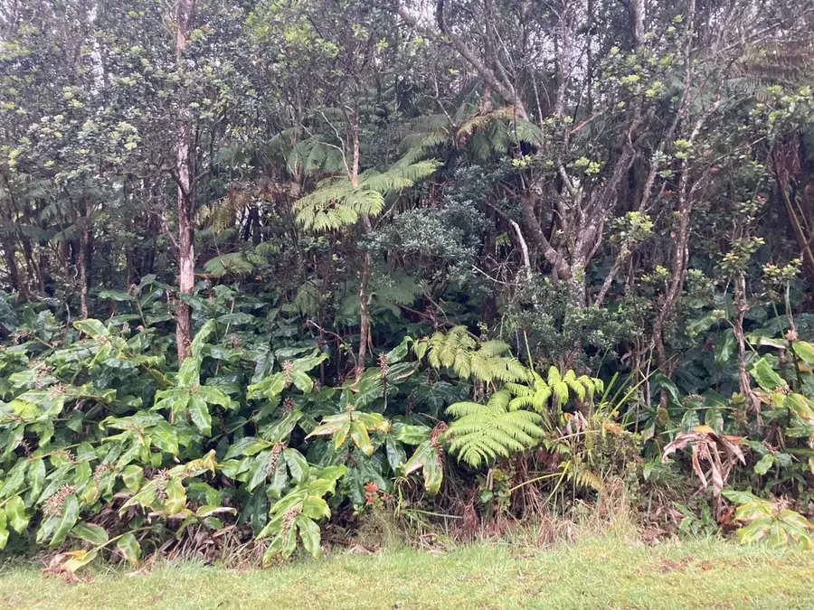Nahelenani St, Volcano, HI 96785 - #2
