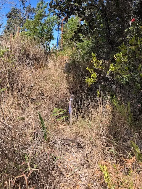 Bamboo Ln, Ocean View, HI 96737 - #3