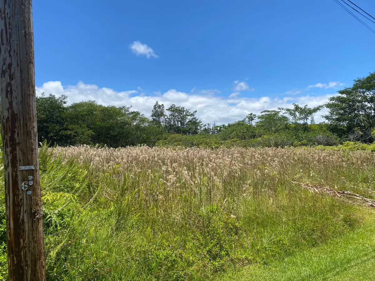 Aku St, Pahoa, HI 96778 - #1