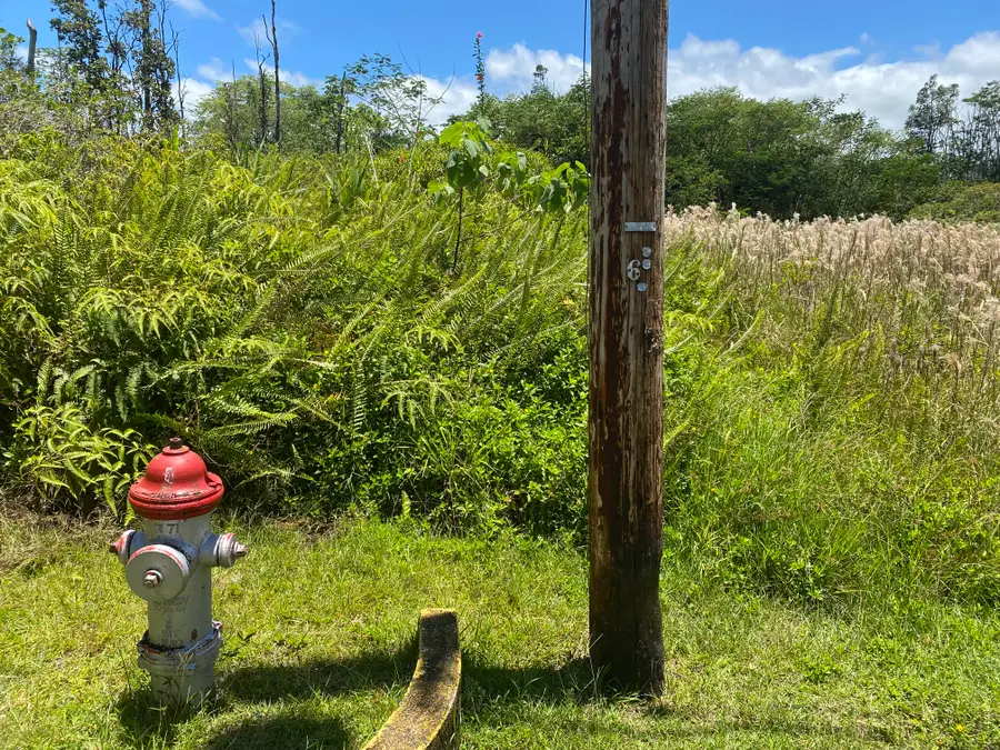 Aku St, Pahoa, HI 96778 - #2
