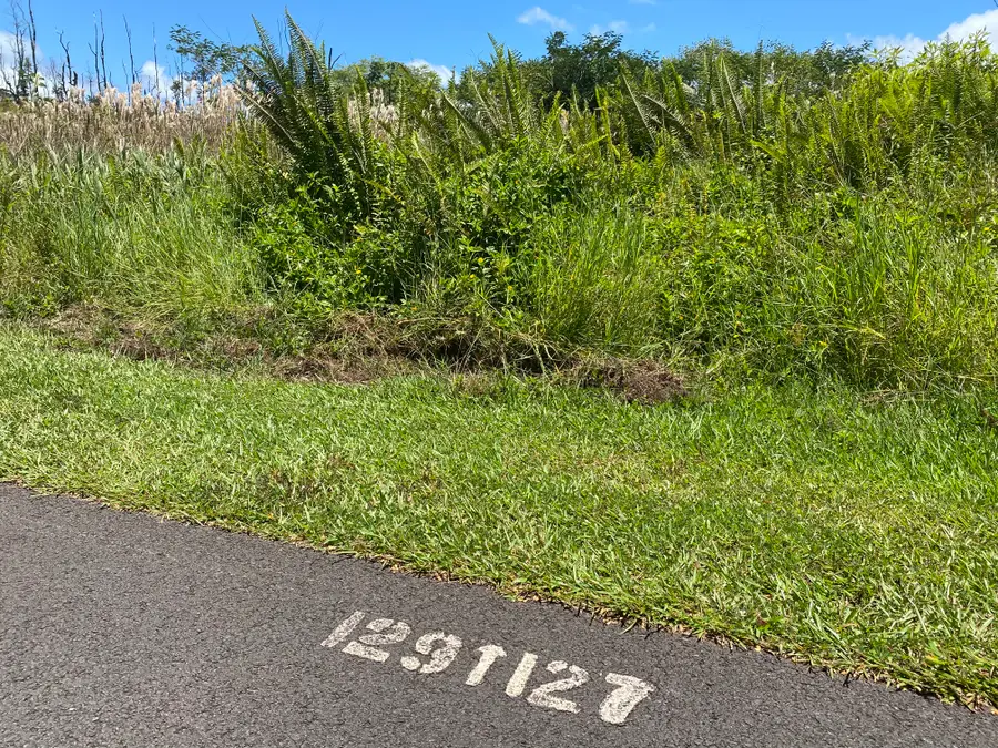 Aku St, Pahoa, HI 96778 - #3