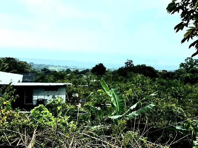 Address Withheld By Seller, Captain Cook, HI 96704 - #3