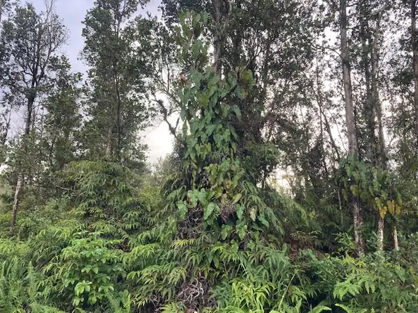 Alapai St, Pahoa, HI 96778