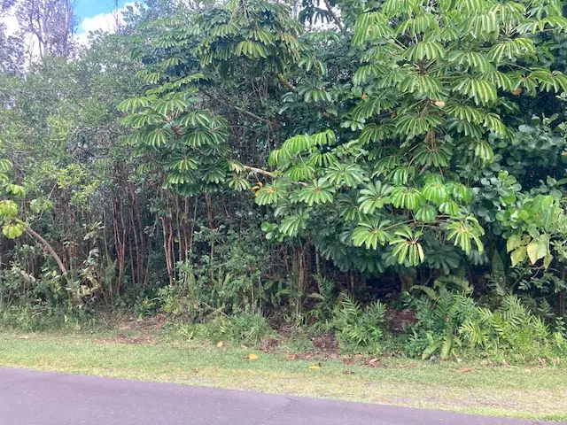 Kaku St, Pahoa, HI 96778 - #1