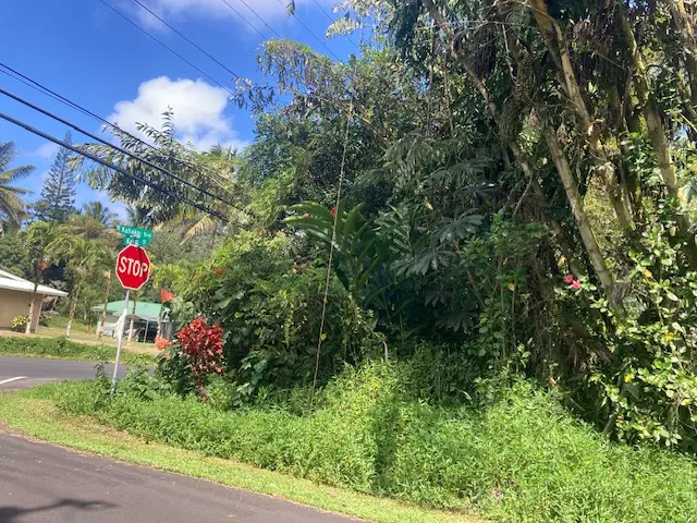 Kaku St, Pahoa, HI 96778 - #2