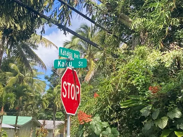 Kaku St, Pahoa, HI 96778 - #3