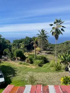 #3