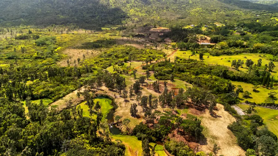 2818 Kamookoa Rd #5, Kilauea, HI 96722 - Image #2