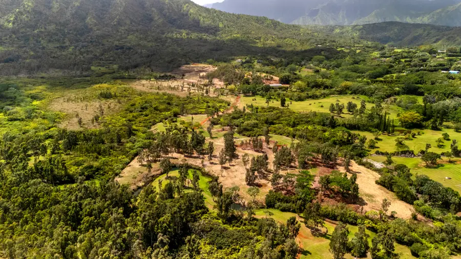 2818 Kamookoa Rd #5, Kilauea, HI 96722 - Image #3