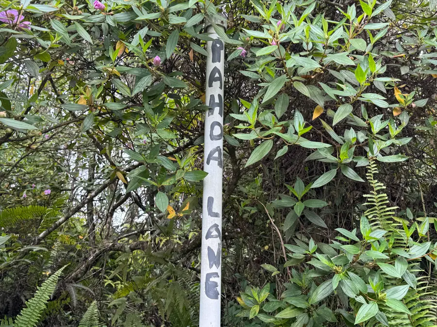 Pahoa Rd, Pahoa, HI 96778 - Image #3