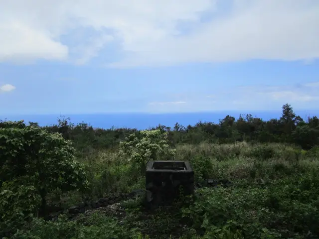 #2