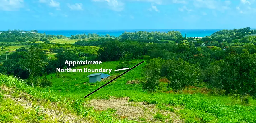 Laipo Rd, Kapaa, HI 96746 - Image #2