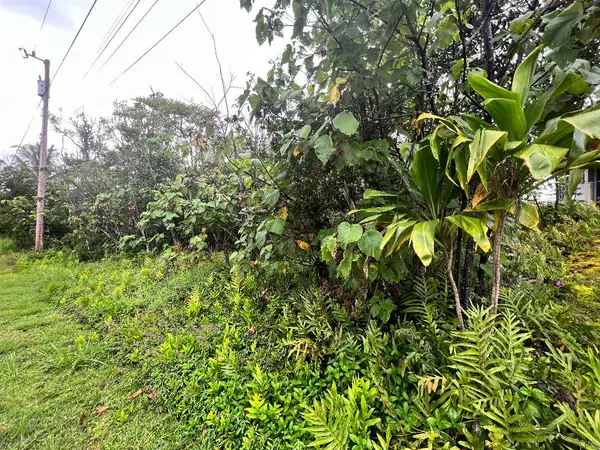 Wehelauniu St, Pahoa, HI 96778