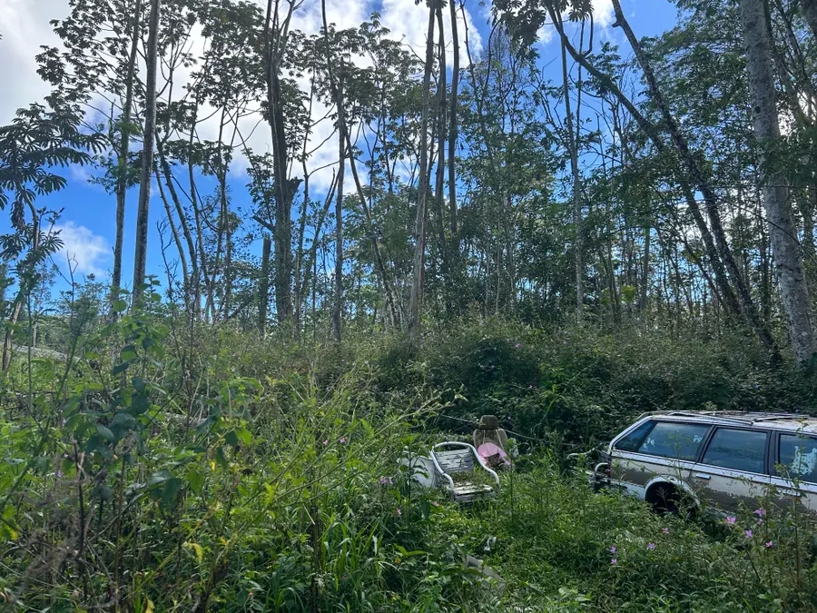 Plumeria Rd, Pahoa, HI 96778 - #3