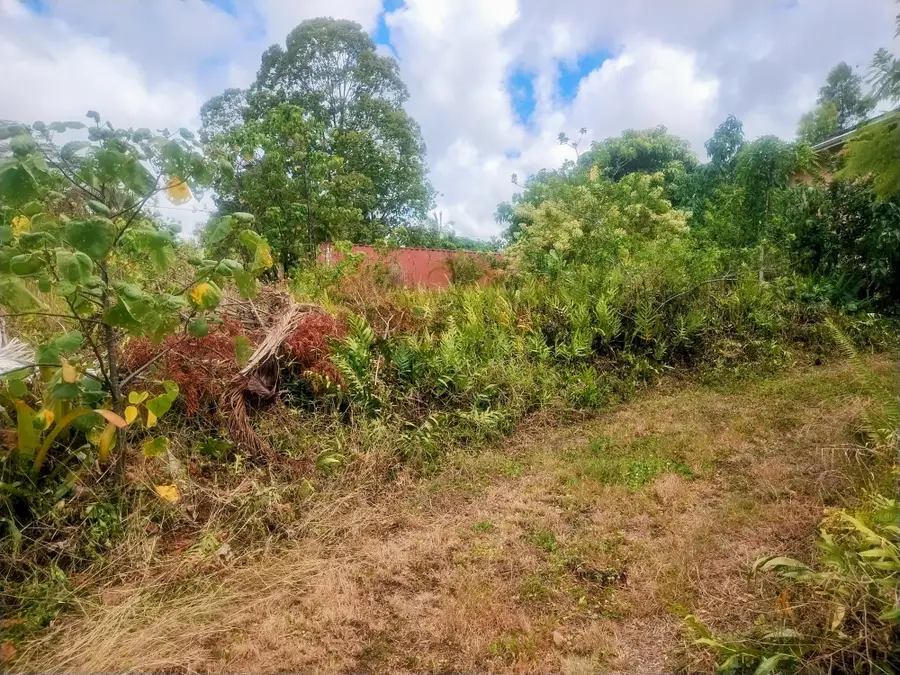 Kaiwa St, Pahoa, HI 96778 - Image #2