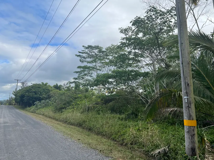 15-1590 17th Ave, Keaau, HI 96749 - Image #2