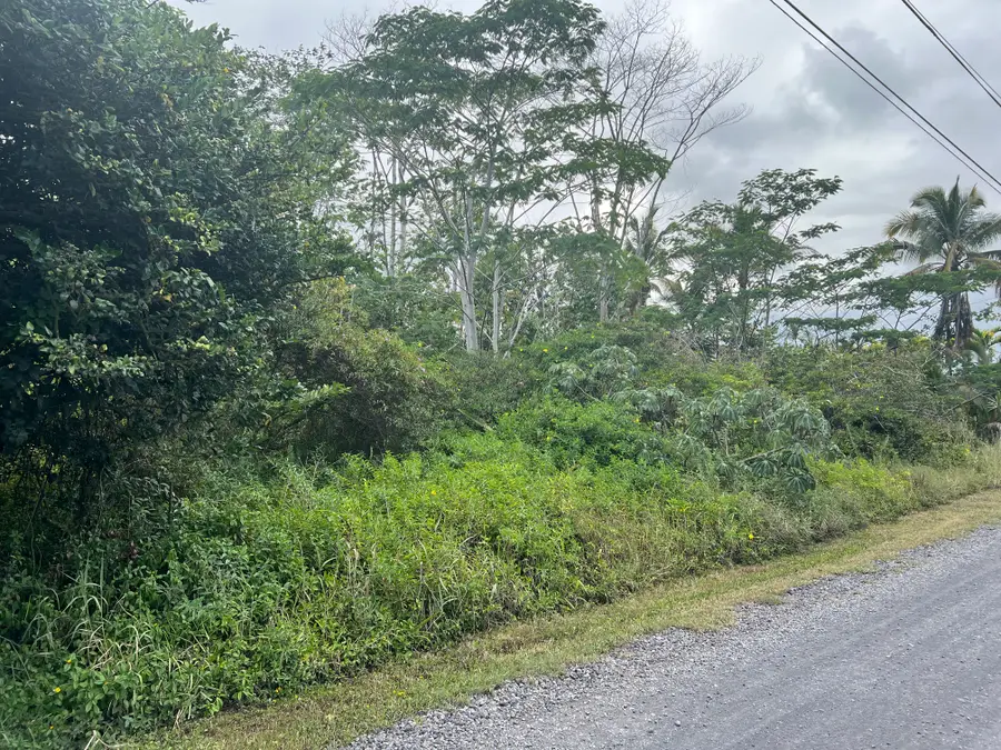 15-1590 17th Ave, Keaau, HI 96749 - Image #3