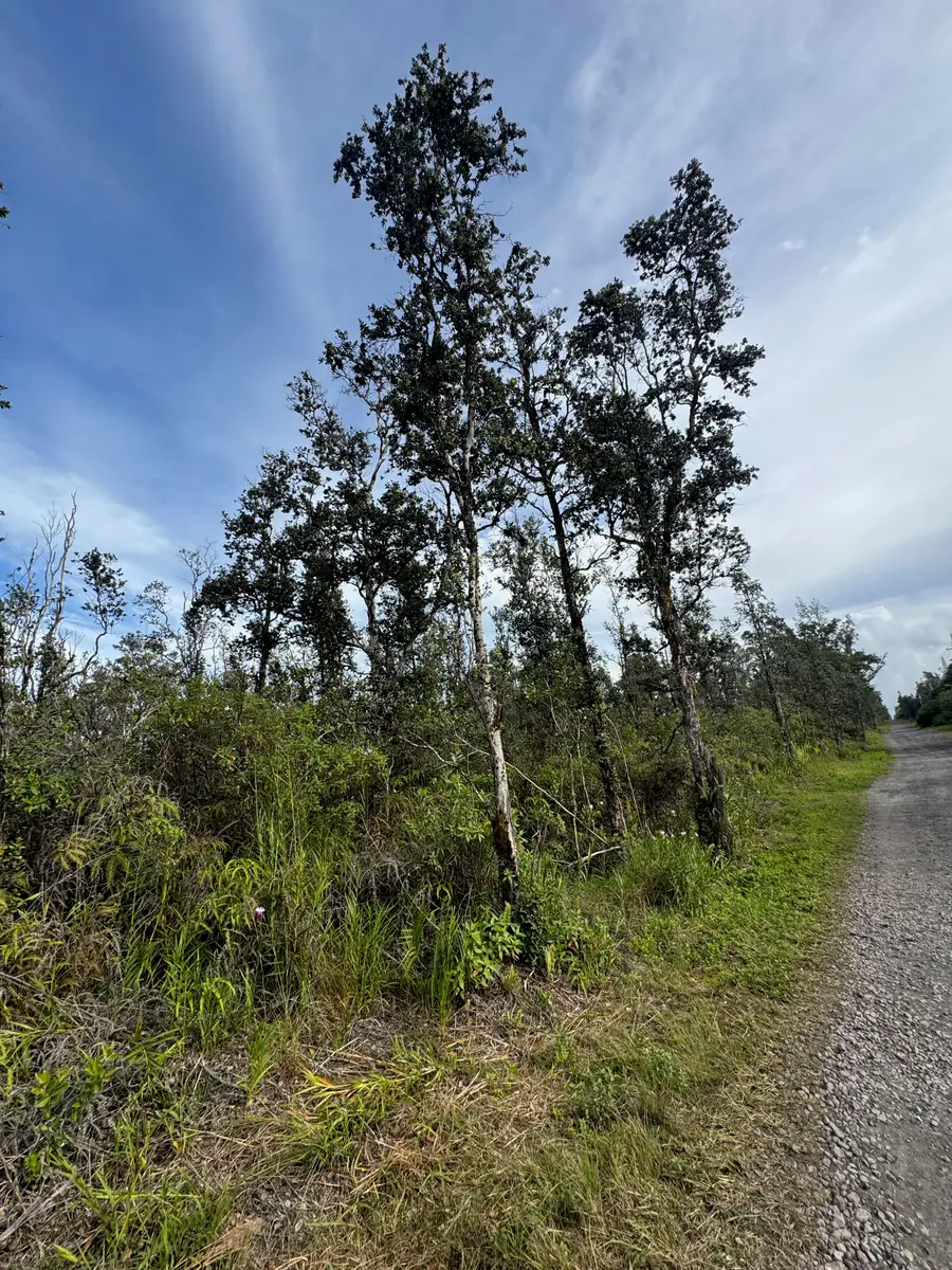 40th Ave, Kurtistown, HI 96760 - Image #2