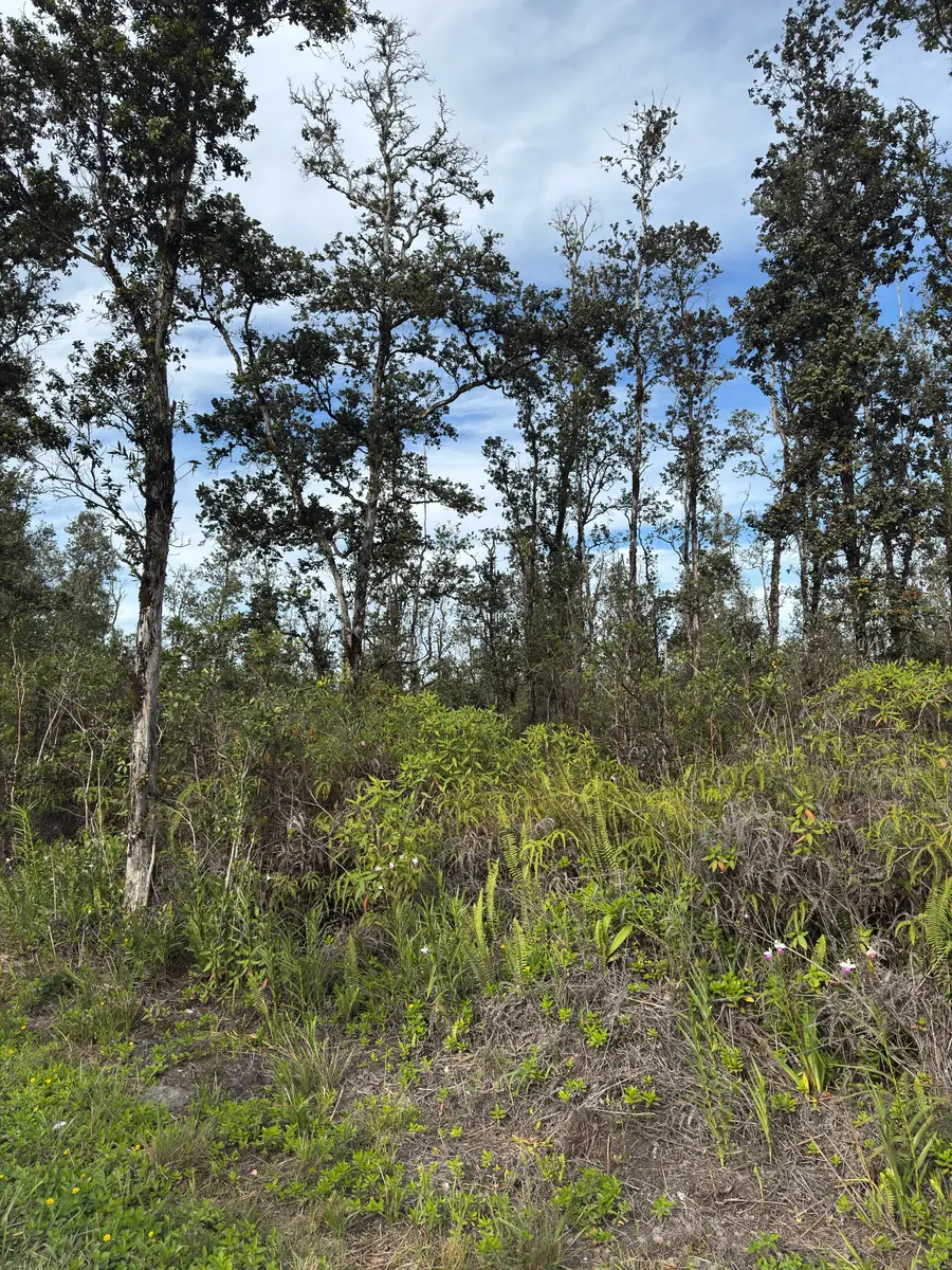 40th Ave, Kurtistown, HI 96760 - Image #3