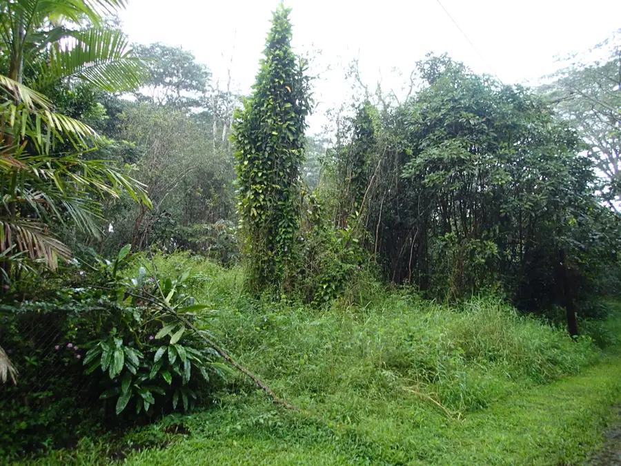 Alii Rd, Pahoa, HI 96778 - Image #2