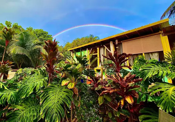 12-7022 Akanikolea St, Pahoa, HI 96778