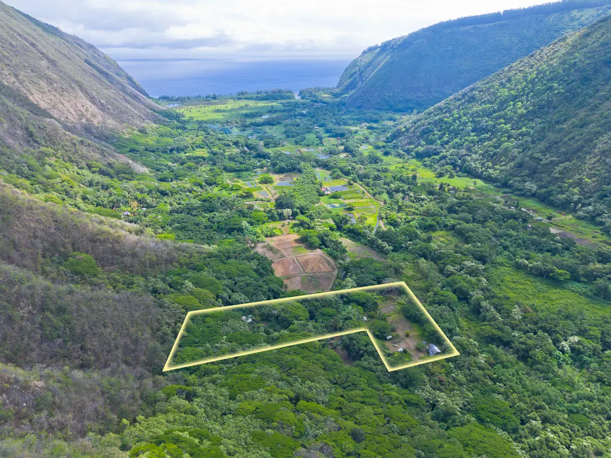 20 Waipio Valley Rd, Honokaa, HI 96727 - #1