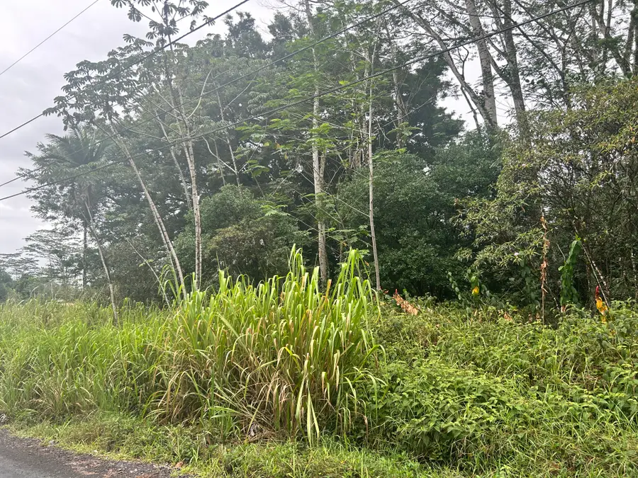 14th Ave, Keaau, HI 96749 - #2