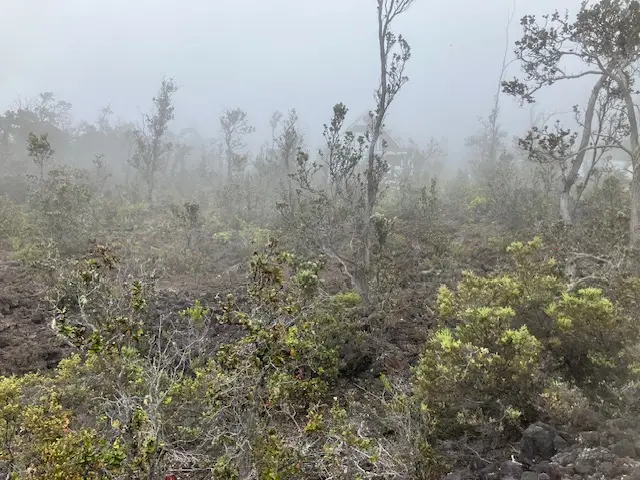 Anuenue Dr, Ocean View, HI 96737 - #1