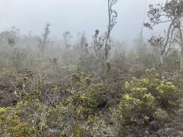 Anuenue Dr, Ocean View, HI 96737