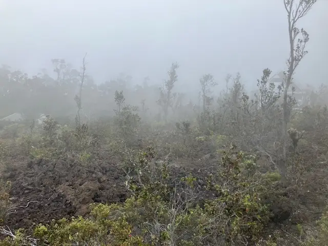 Anuenue Dr, Ocean View, HI 96737 - #2