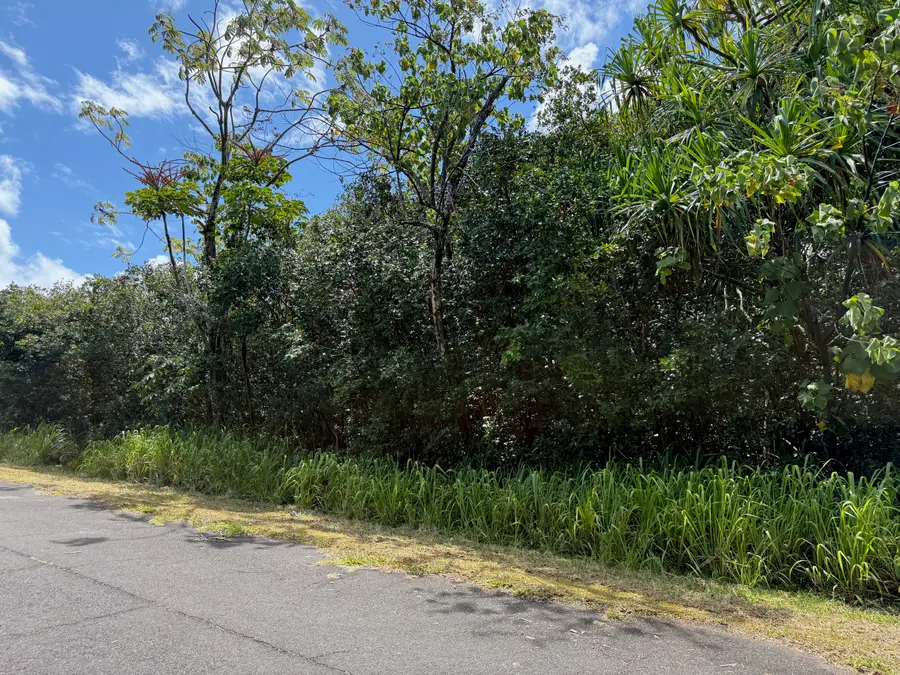 Wehelauniu St, Pahoa, HI 96778 - Image #3