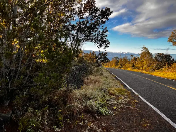 92-9308 King Kamehameha Blvd, Ocean View, HI 96737