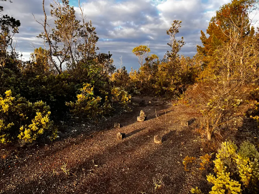 92-9308 King Kamehameha Blvd, Ocean View, HI 96737 - Image #2