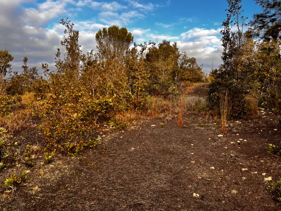 92-2417 Outrigger Drive, Ocean View, HI 96737 - Image #2