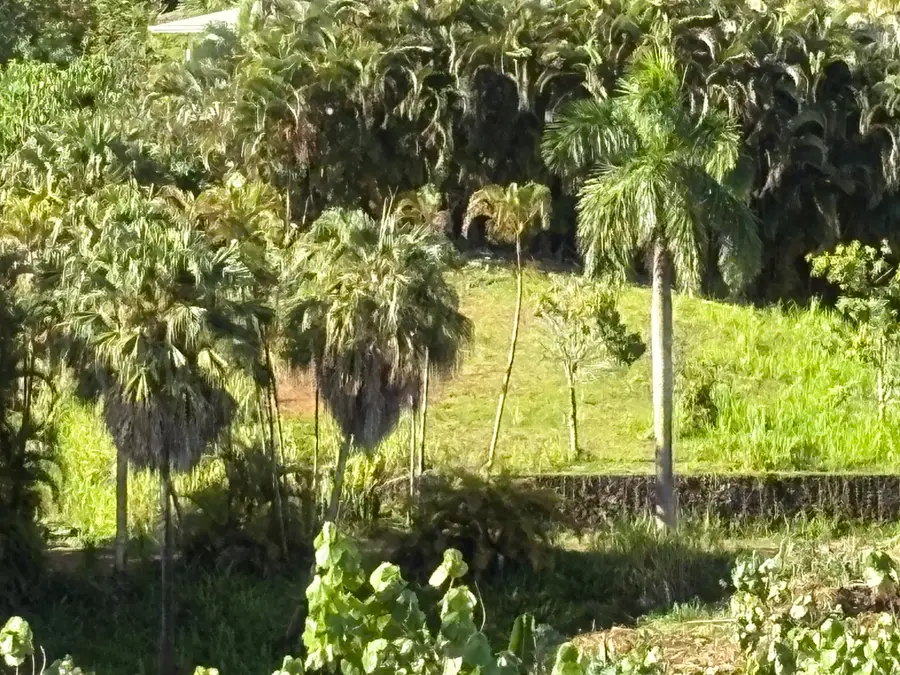 6631-A Kipapa Rd, Kapaa, HI 96746 - #2