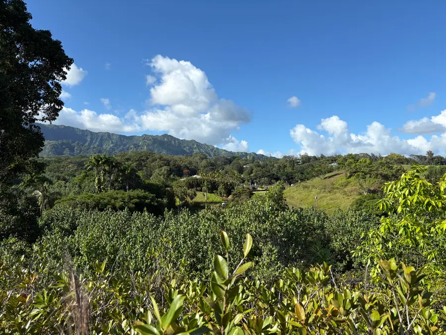 6631-A Kipapa Rd, Kapaa, HI 96746 - #3