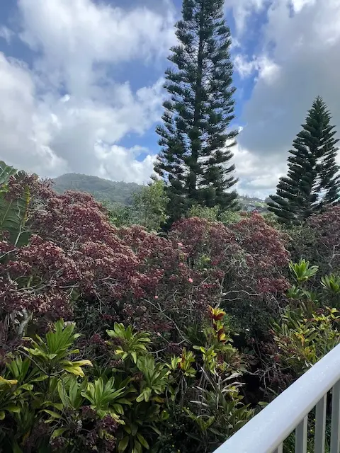 3320-B Wawae Rd, Kalaheo, HI 96741 - Image #3