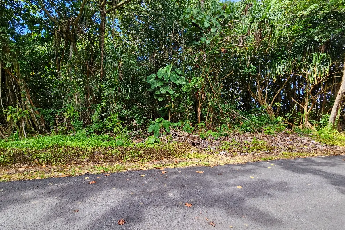 Puni Kahakai St, Pahoa, HI 96778 - Image #1