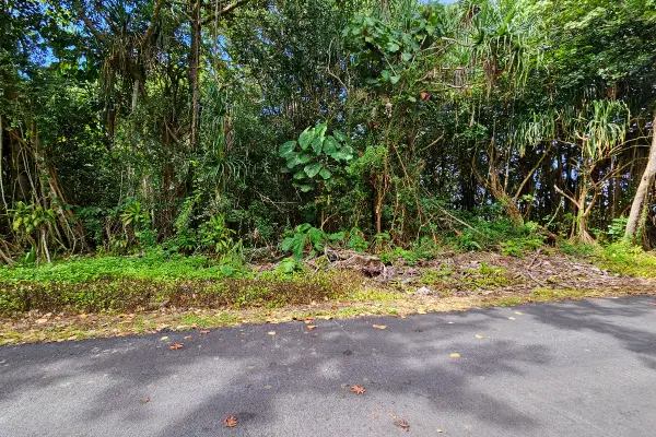 Puni Kahakai St, Pahoa, HI 96778