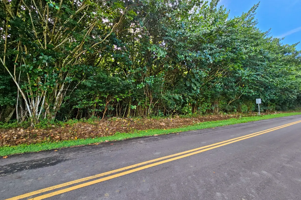 Puna Pkwy, Pahoa, HI 96778 - Image #1