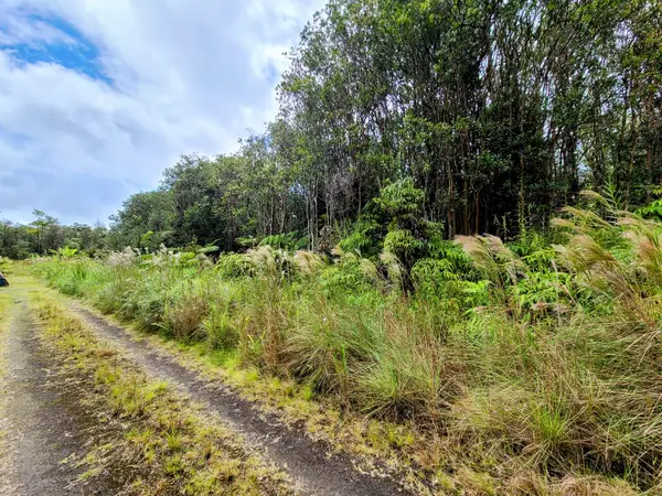 18-2328 Ola Kino Rd, Volcano, HI 96785