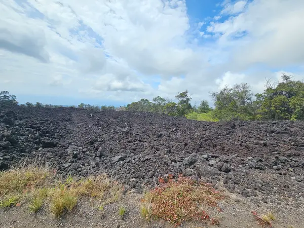 Reef Cir Makai, Ocean View, HI 96737