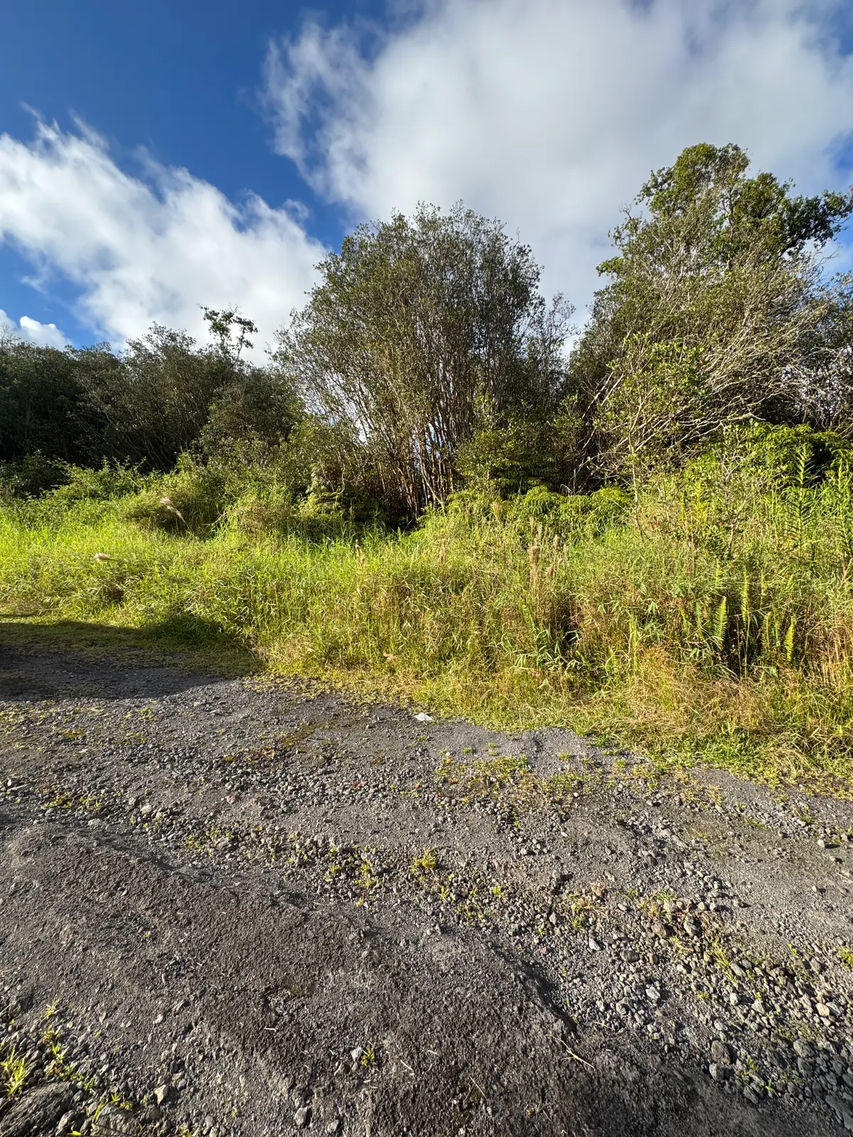18-4202 Hulu St, Volcano, HI 96785 - Image #1