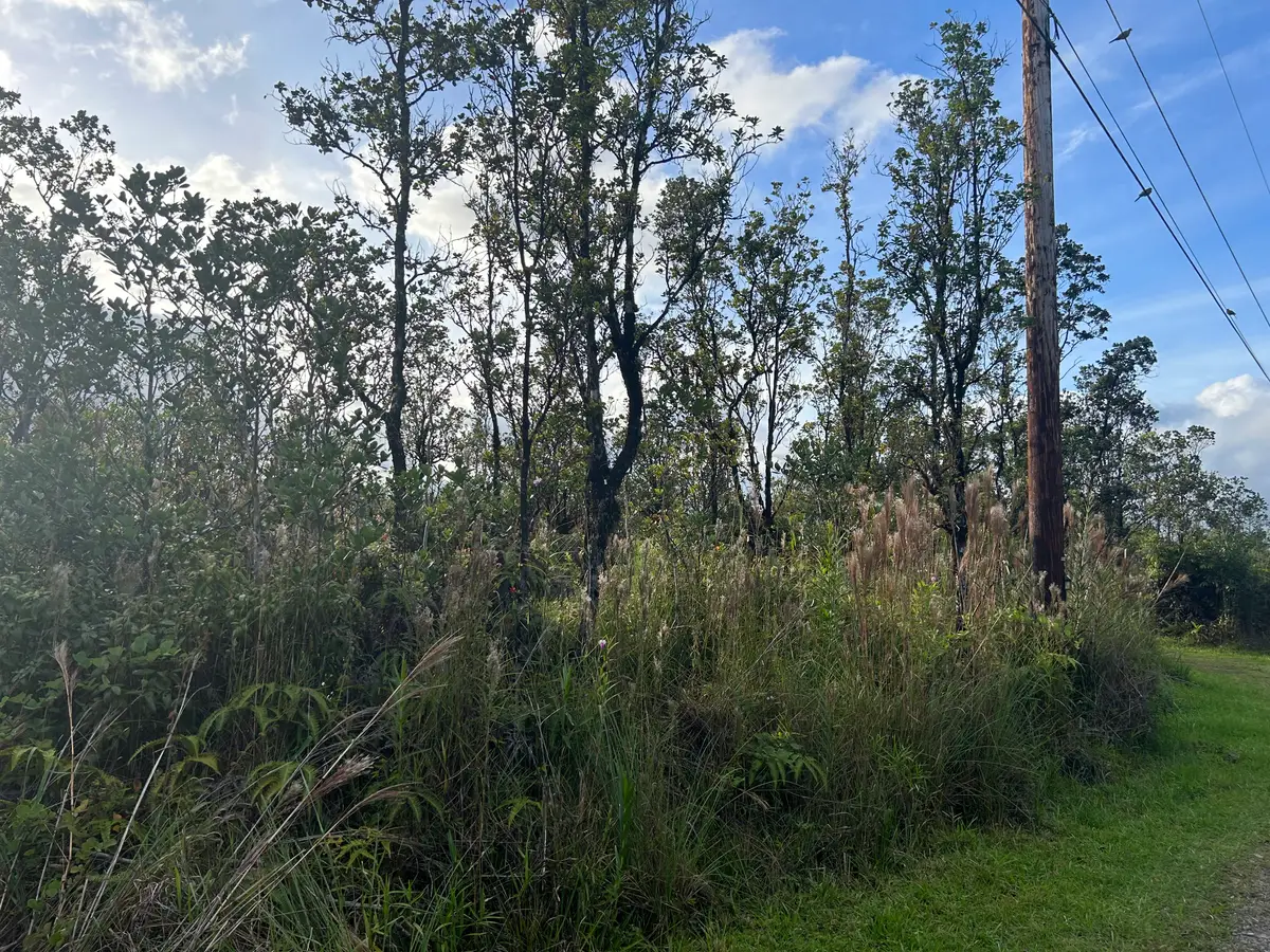 Mailenani Rd, Volcano, HI 96785 - Image #1