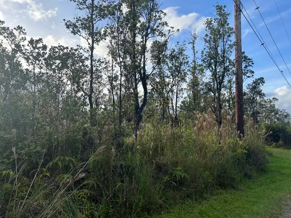 Mailenani Rd, Volcano, HI 96785